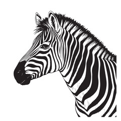 Zebra line art vector art vector
