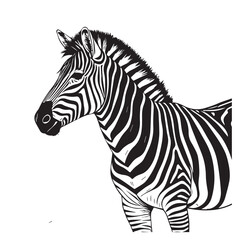Zebra line art vector art vector
