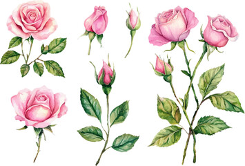 seamless pattern with pink roses