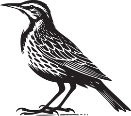 Meadowlark bird silhouette