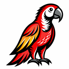 parrot on a white background