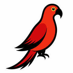 illustration of a parrot