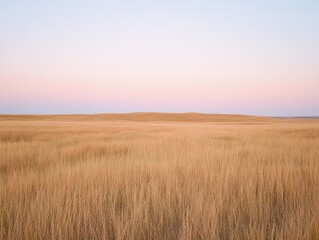 Obraz premium Expansive golden grassland under a pastel sky at dusk.