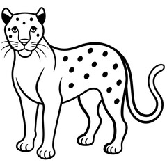 illustration of cartoon tiger