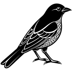 illustration of a bird