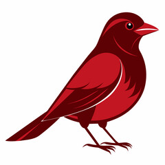 illustration of a bird