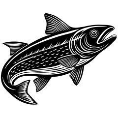 fish illustration