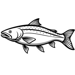 fish on a white background
