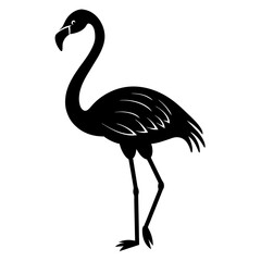 illustration of a flamingo
