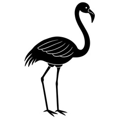 illustration of a flamingo