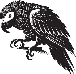 Black and white parrot silhouette