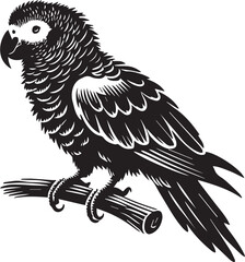 Black and white parrot silhouette
