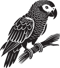 Black and white parrot silhouette