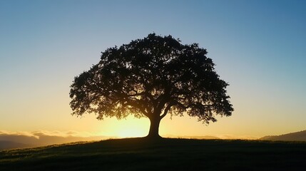 Fototapeta premium Majestic Live Oak Tree Towering Over a Serene Landscape, Exuding Timeless Beauty and Southern Charm