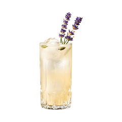 Tasty Lavender Cardamom Gin Fizz   Isolated On Transparent Background