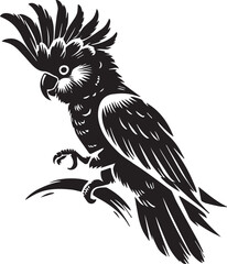Cockatoo bird silhouette © MstSumi