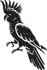 Cockatoo bird silhouette