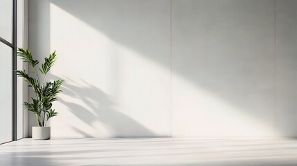 Subtle White Concrete Wall with Natural Light and Shadows
