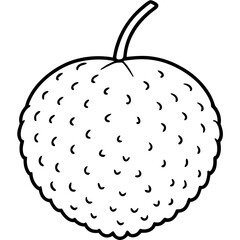 Lychee line art vector