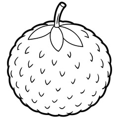 Lychee line art vector
