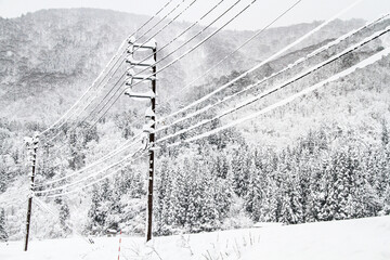 Snow Covered Power Lines in a Winter Forest