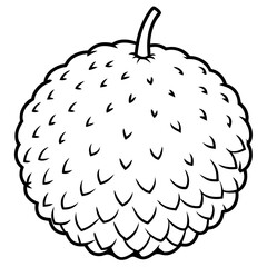 Lychee line art vector