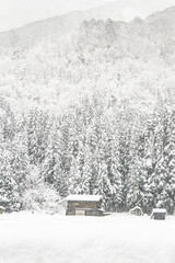 Snow-Covered Traditional Village Surrounded by Winter Woods in Shirakawa-Go, Japan