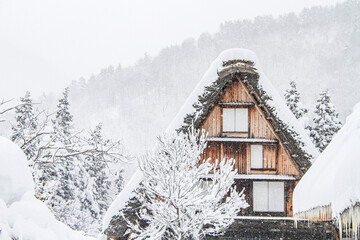 Traditional Gassho-Zukuri Houses in Snowy Shirakawa-go Winter Scene, Japan