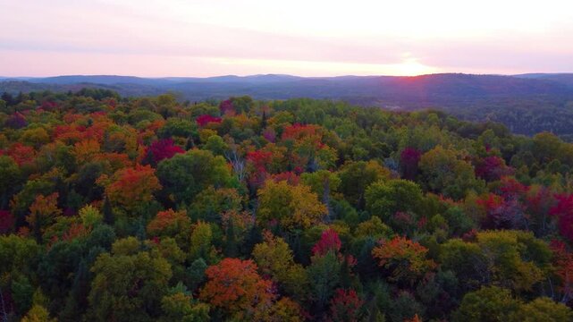 Northern Ontario, Canada - Aerial view of the colorful forest during the sunrise