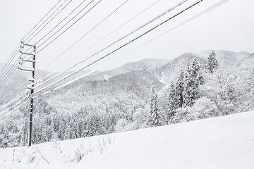Obraz premium Snow-Covered Power Lines in Winter, Shirakawa-go, Japan