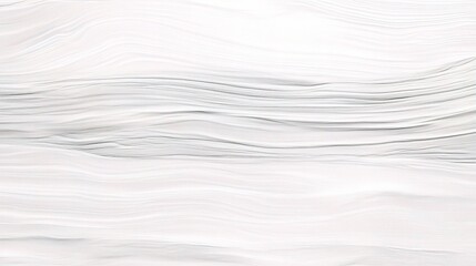 Fototapeta premium Horizontal White Wood Design Pattern with Natural Texture