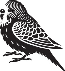 Budgerigar silhouette