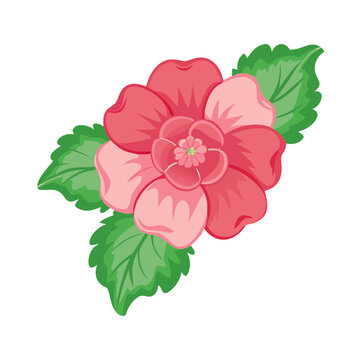 pink flower green leaves isolated clip art preview