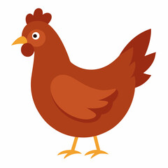 hen vector illustration