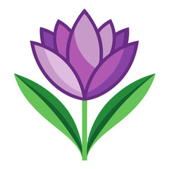 crocus flower icon design
