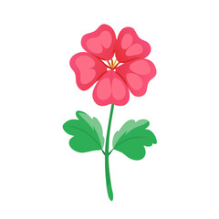 geranium flower icon design