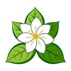 jasmine flower icon design