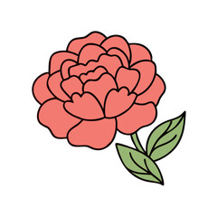 peony flower icon design