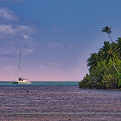 lagon