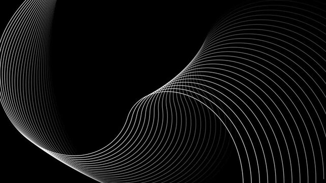 Rainbow colorful swirl line movement. colorful pattern wavy line motion background.