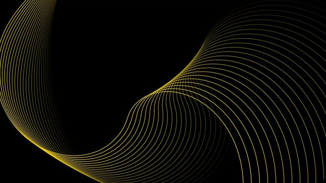 Rainbow colorful swirl line movement. colorful pattern wavy line motion background.