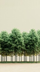 Lush Green Trees Against Soft Neutral Background in Natural Setting