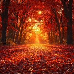Fototapeta premium [Autumn forest trail at sunset] Autumn Forest Trail at Sunset Vibrant Leaves & Soft Golden Light