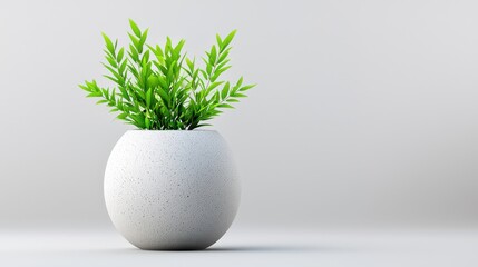 [Urban Minimalism aesthetics organized open] Minimalist Plant Vase Decor Interior Greenery Home Office Simple Elegance