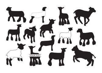 Show Lamb vector, Show Lamb clipart, Show Lamb silhouette.