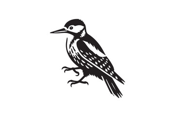simple black an white woodpecker vector silhouette isolated on a white background