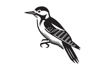 simple black an white woodpecker vector silhouette isolated on a white background