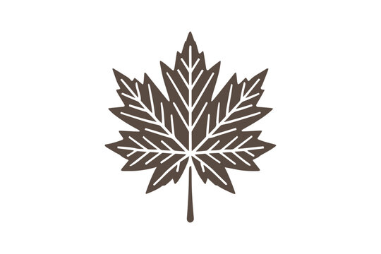 simple black an white mapple leaf vector silhouette isolated on a white background