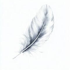 Obraz premium Delicate feather with intricate details.