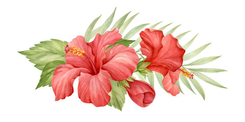 Hibiscus flower with leaves horizontal composition. Watercolor illustration hand drawn and isolated from background. © dalidasia